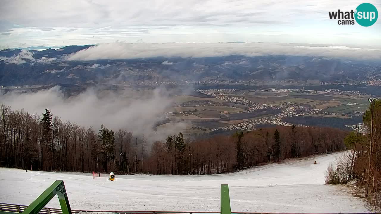 Webcam Pohorje | Station Sleme