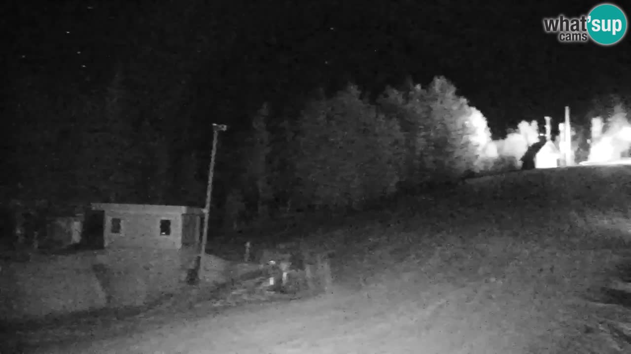 Pohorje Webcam | Sleme Talstation