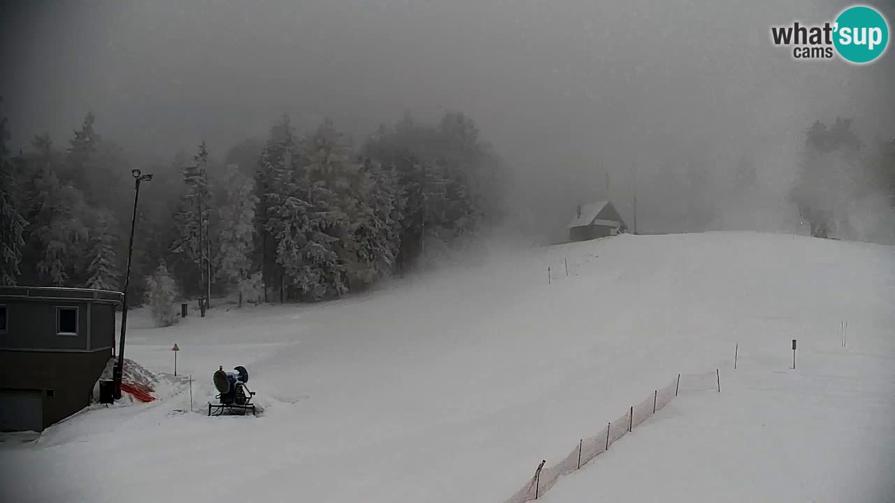 Pohorje webcam | Sleme lower station