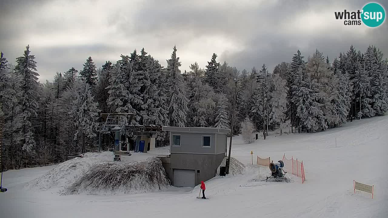 Pohorje Webcam | Sleme Talstation