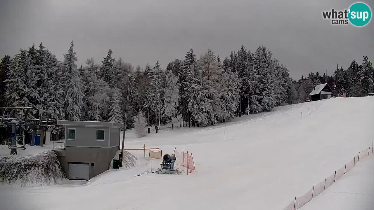 Webcam Pohorje | Station Sleme