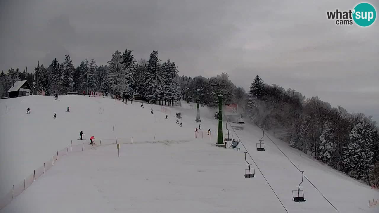 Pohorje spletna kamera | Spodnja postaja Sleme