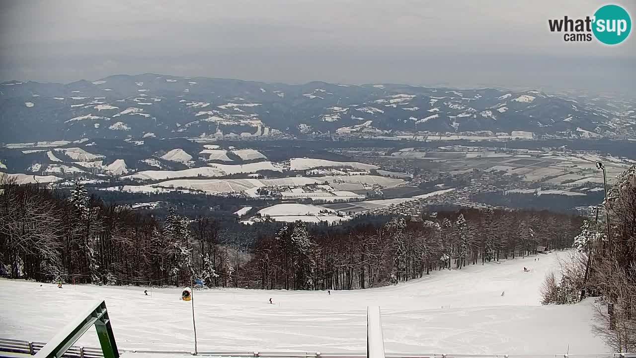 Webcam Pohorje | Station Sleme