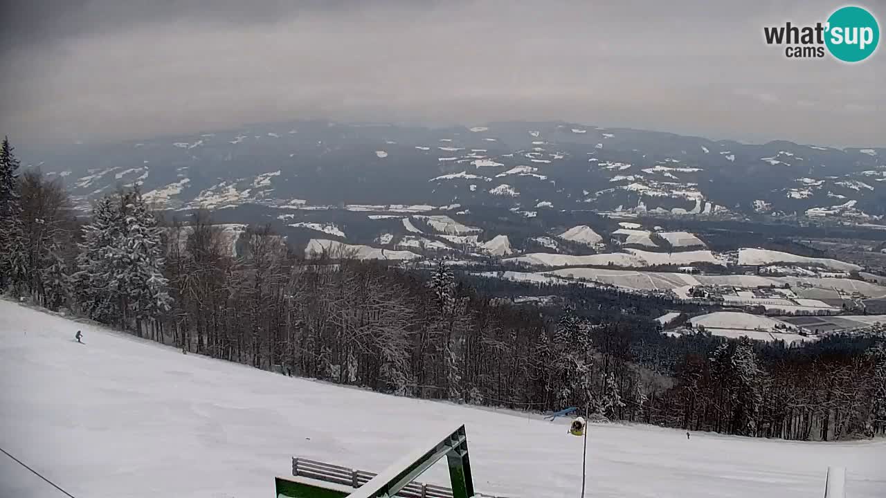 Webcam Pohorje | Stazione Inferiore Sleme