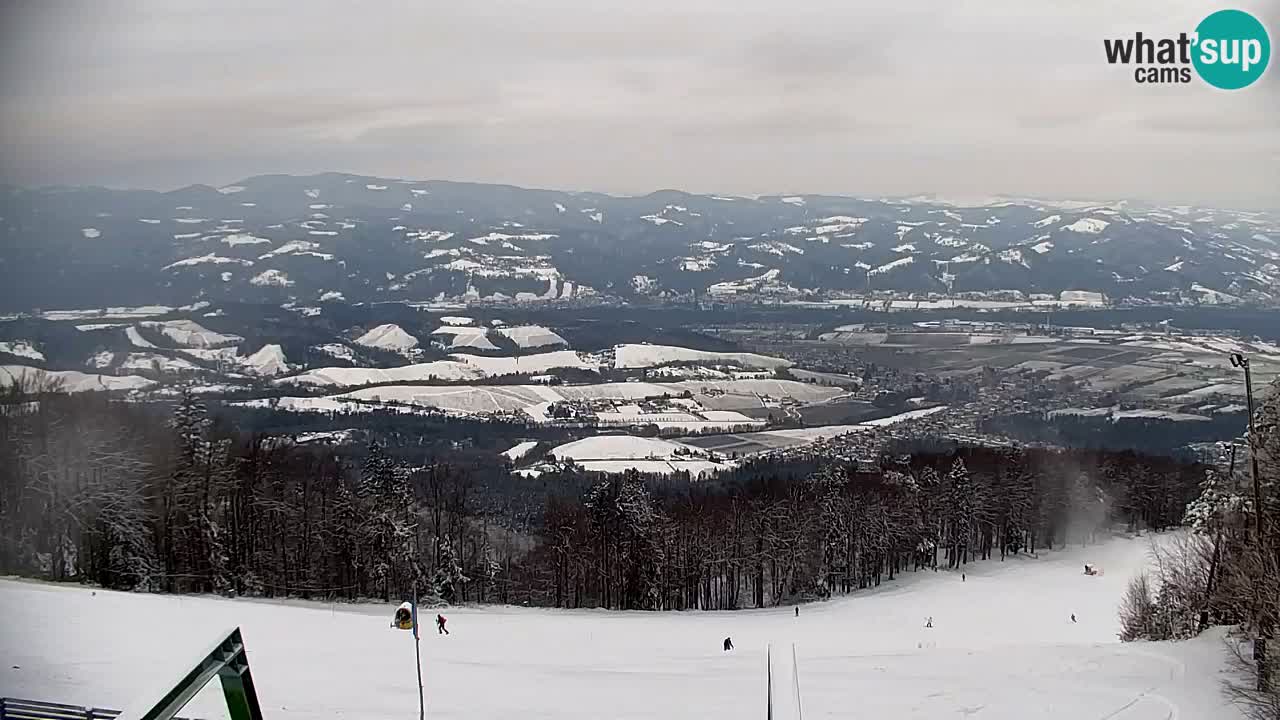 Pohorje Webcam | Sleme Talstation