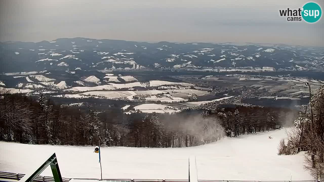 Webcam Pohorje | Station Sleme