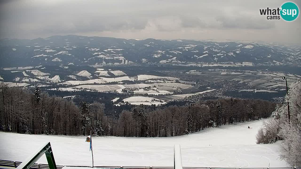 Pohorje Webcam | Sleme Talstation