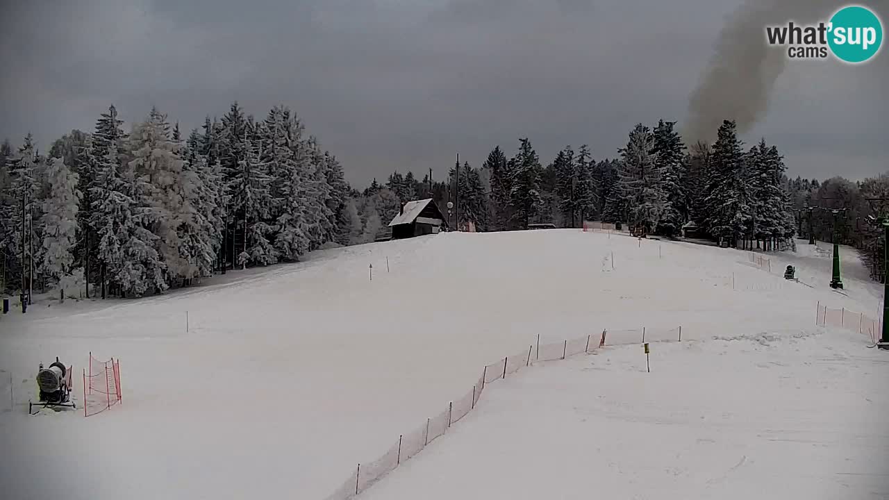 Webcam Pohorje | Station Sleme