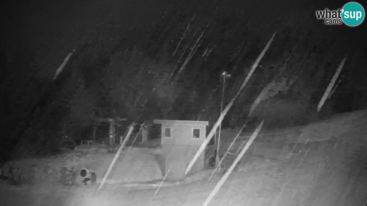 Pohorje Webcam | Sleme Talstation