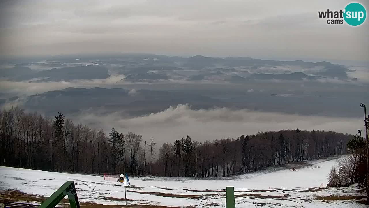 Pohorje spletna kamera | Spodnja postaja Sleme