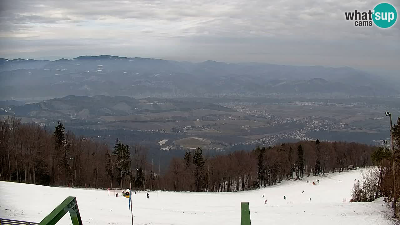 Webcam Pohorje | Stazione Inferiore Sleme