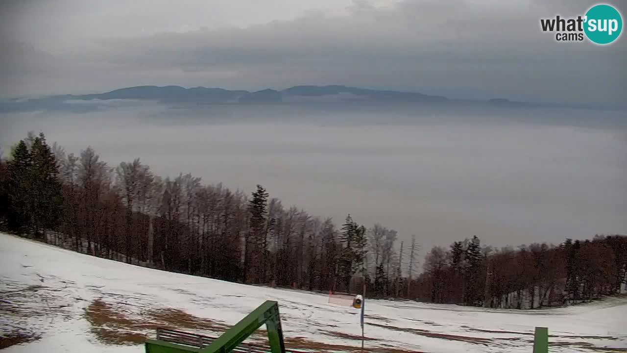 Pohorje webcam | Sleme lower station