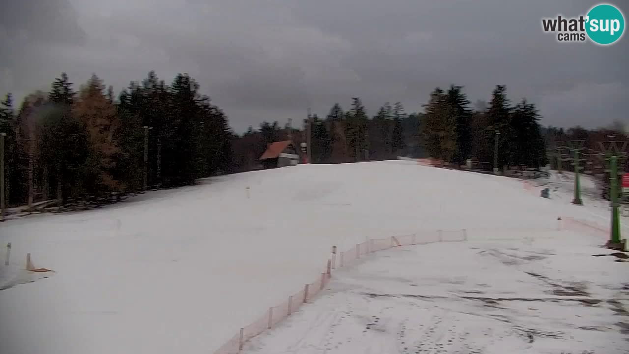 Pohorje spletna kamera | Spodnja postaja Sleme