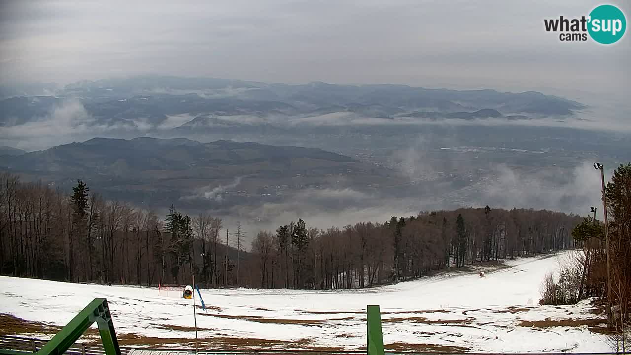 Webcam Pohorje | Station Sleme