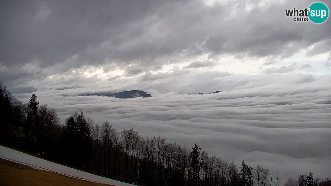 Pohorje webcam | Sleme lower station