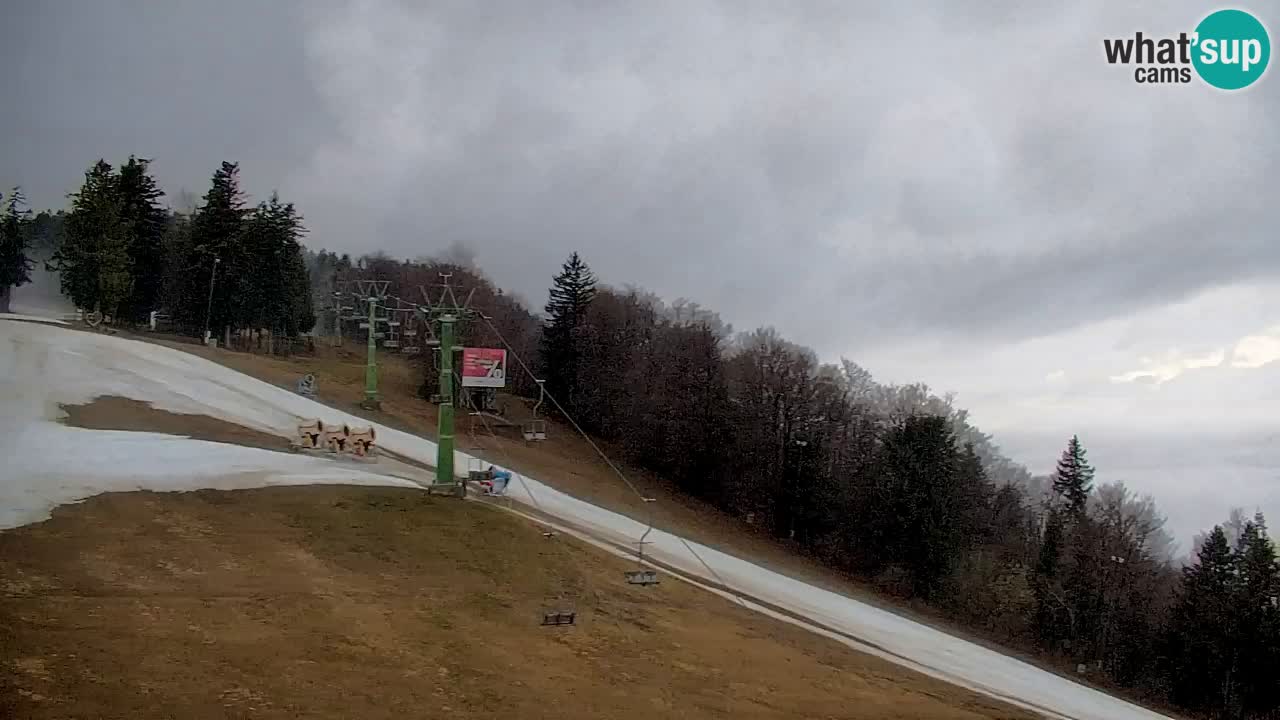 Pohorje Webcam | Sleme Talstation