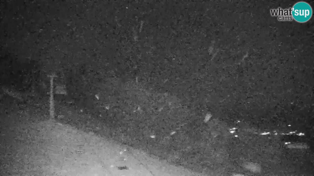 Pohorje spletna kamera | Spodnja postaja Sleme