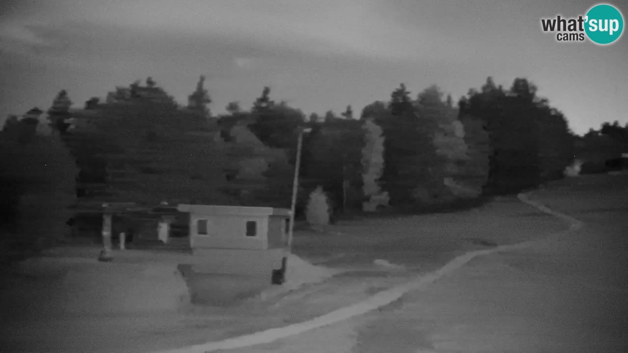 Pohorje Webcam | Sleme Talstation