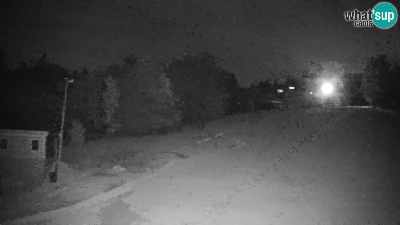 Pohorje Webcam | Sleme Talstation
