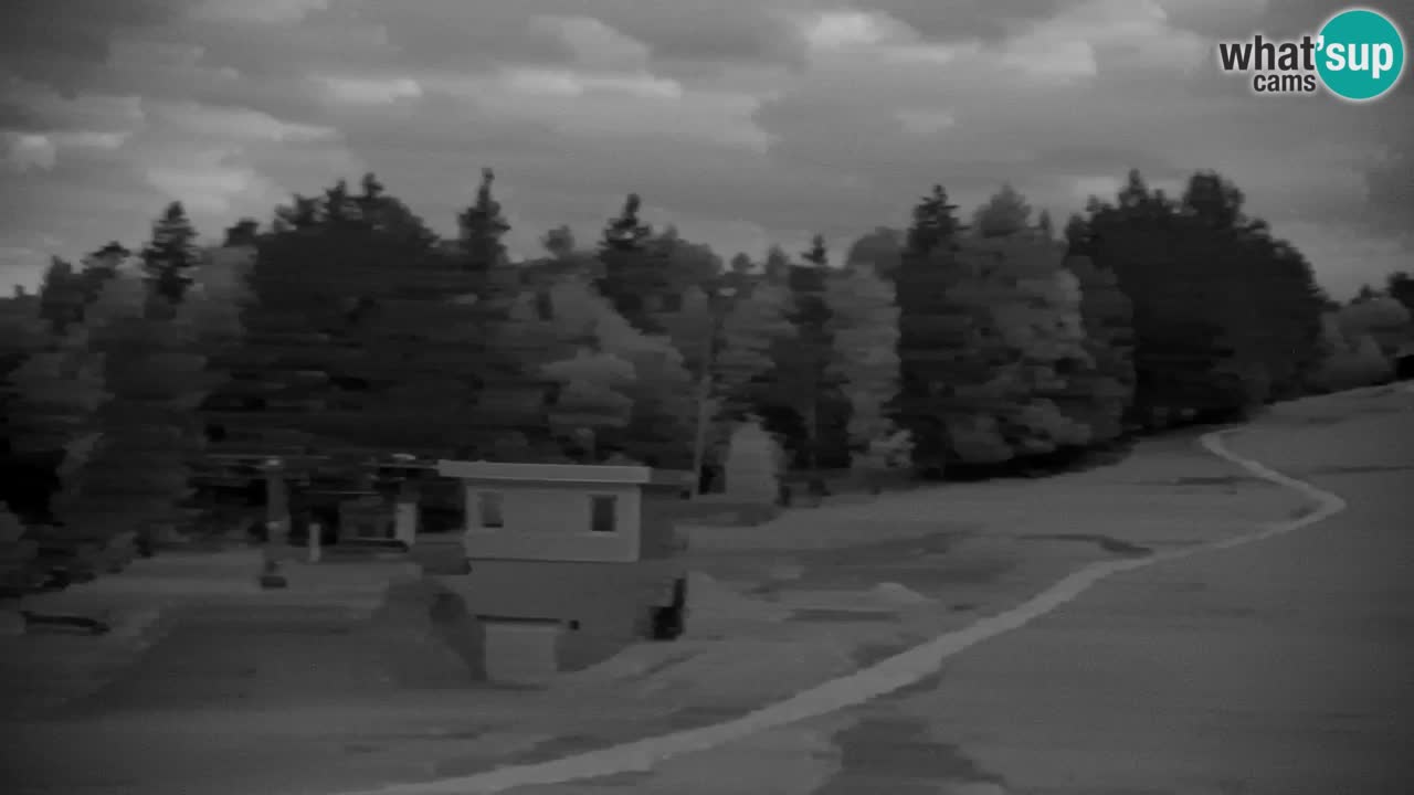 Pohorje Webcam | Sleme Talstation