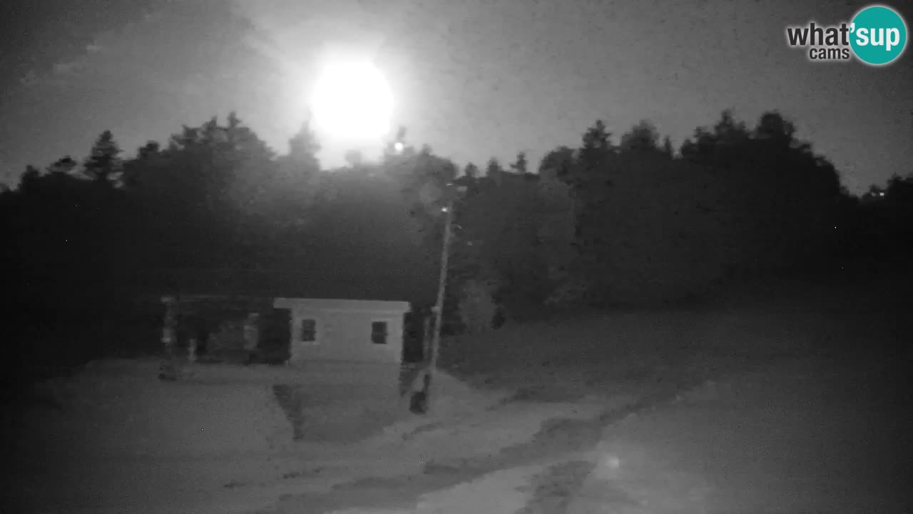 Pohorje Web kamera | Sleme Donja Stanica