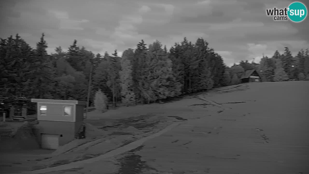 Pohorje Webcam | Sleme Talstation