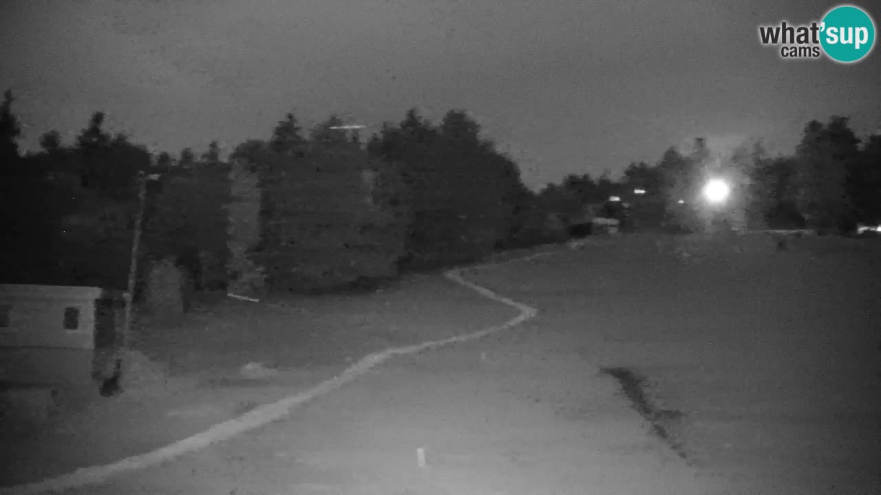 Webcam Pohorje | Stazione Inferiore Sleme