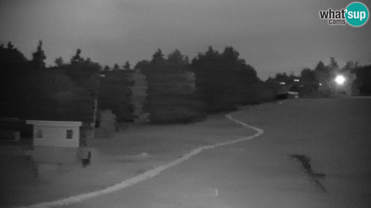 Webcam Pohorje | Stazione Inferiore Sleme