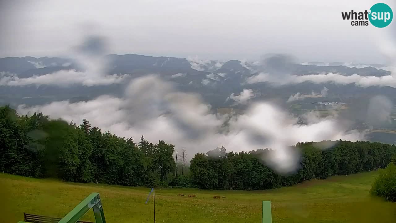 Pohorje Webcam | Sleme Talstation