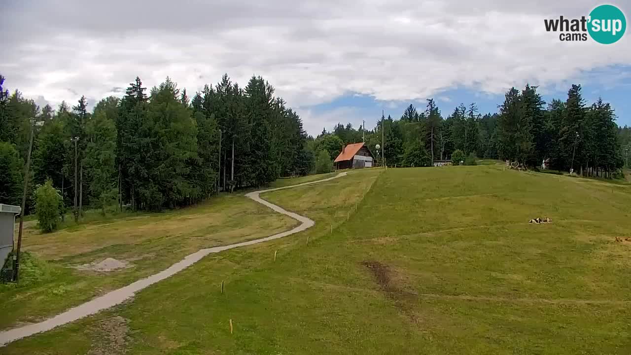 Pohorje Webcam | Sleme Talstation