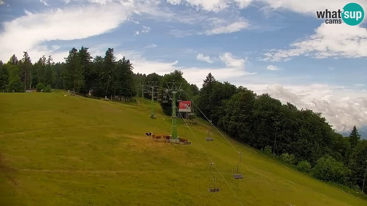 Webcam Pohorje | Stazione Inferiore Sleme