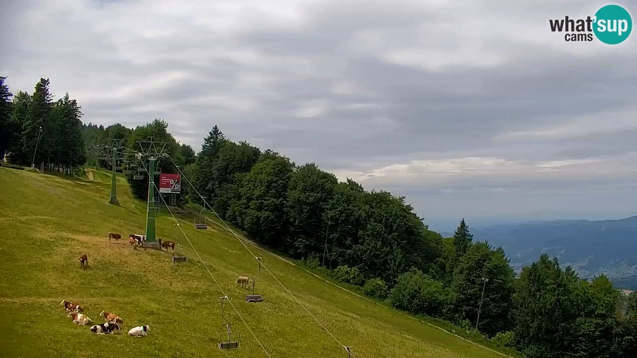 Webcam Pohorje | Stazione Inferiore Sleme