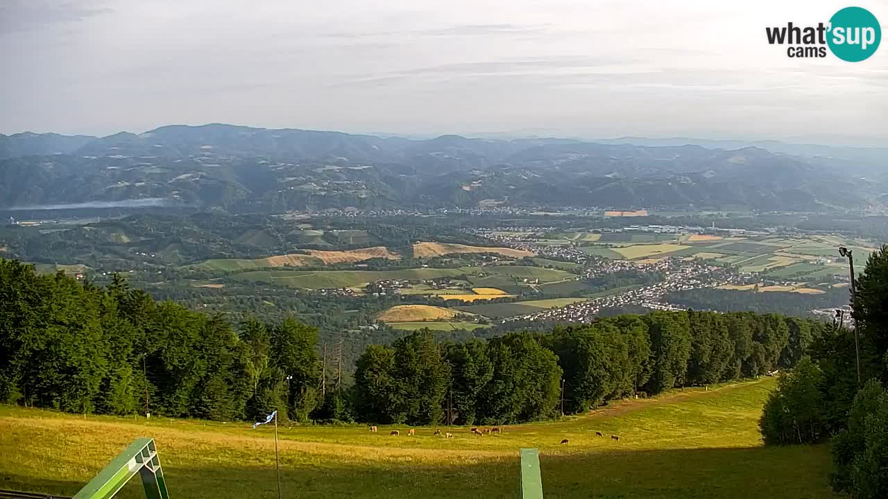 Webcam Pohorje | Station Sleme