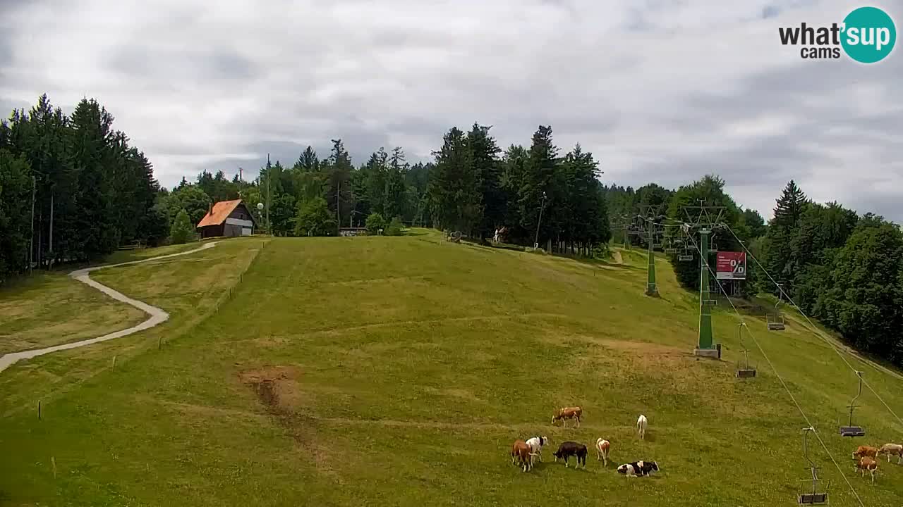 Pohorje webcam | Sleme lower station