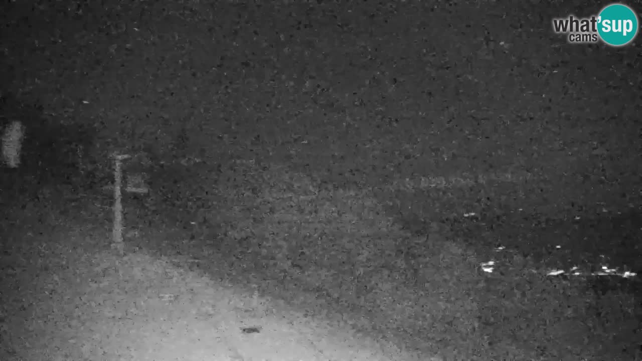 Webcam Pohorje | Station Sleme