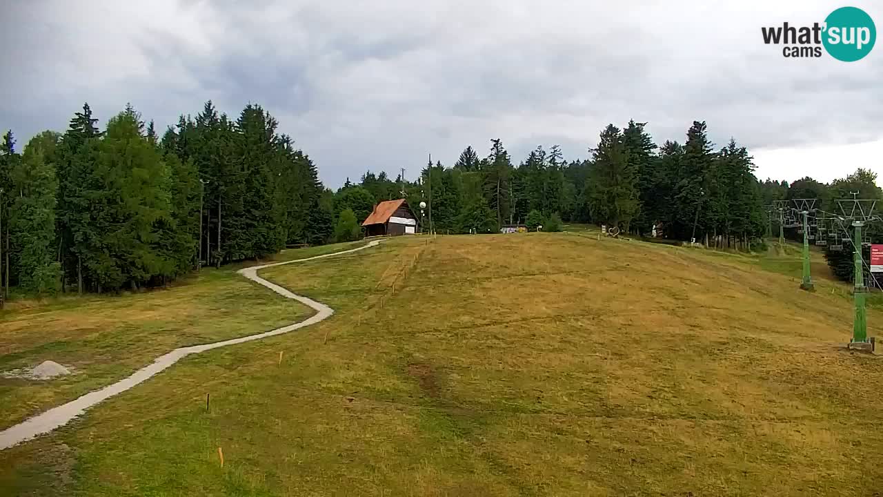 Webcam Pohorje | Station Sleme