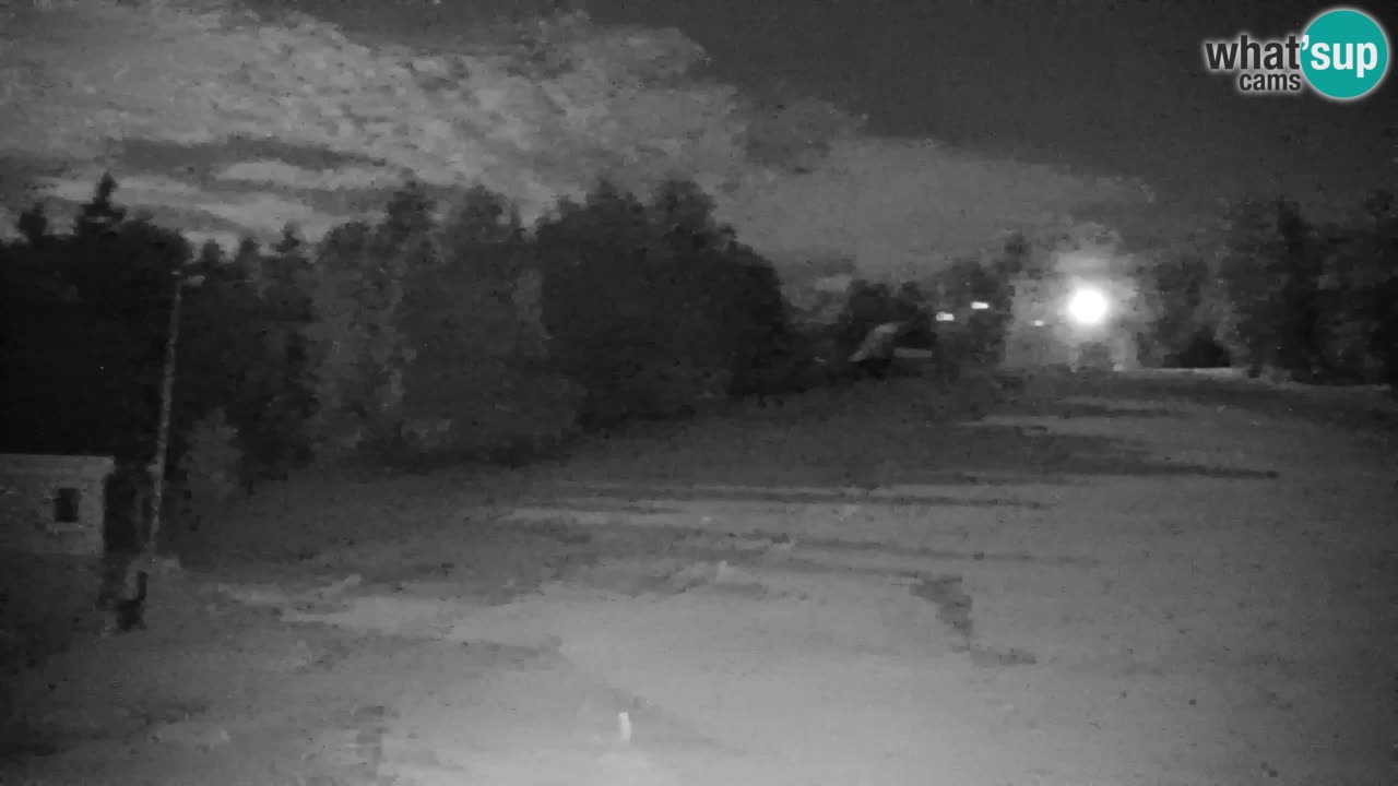 Pohorje Webcam | Sleme Talstation