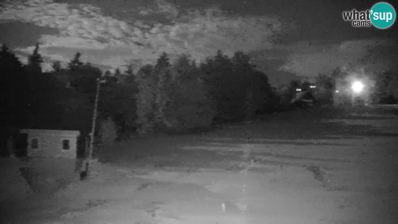 Pohorje Webcam | Sleme Talstation
