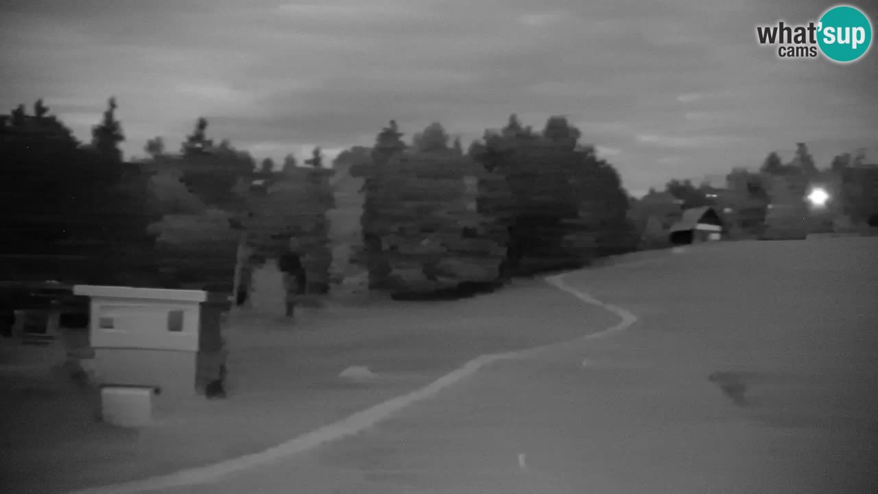 Webcam Pohorje | Stazione Inferiore Sleme
