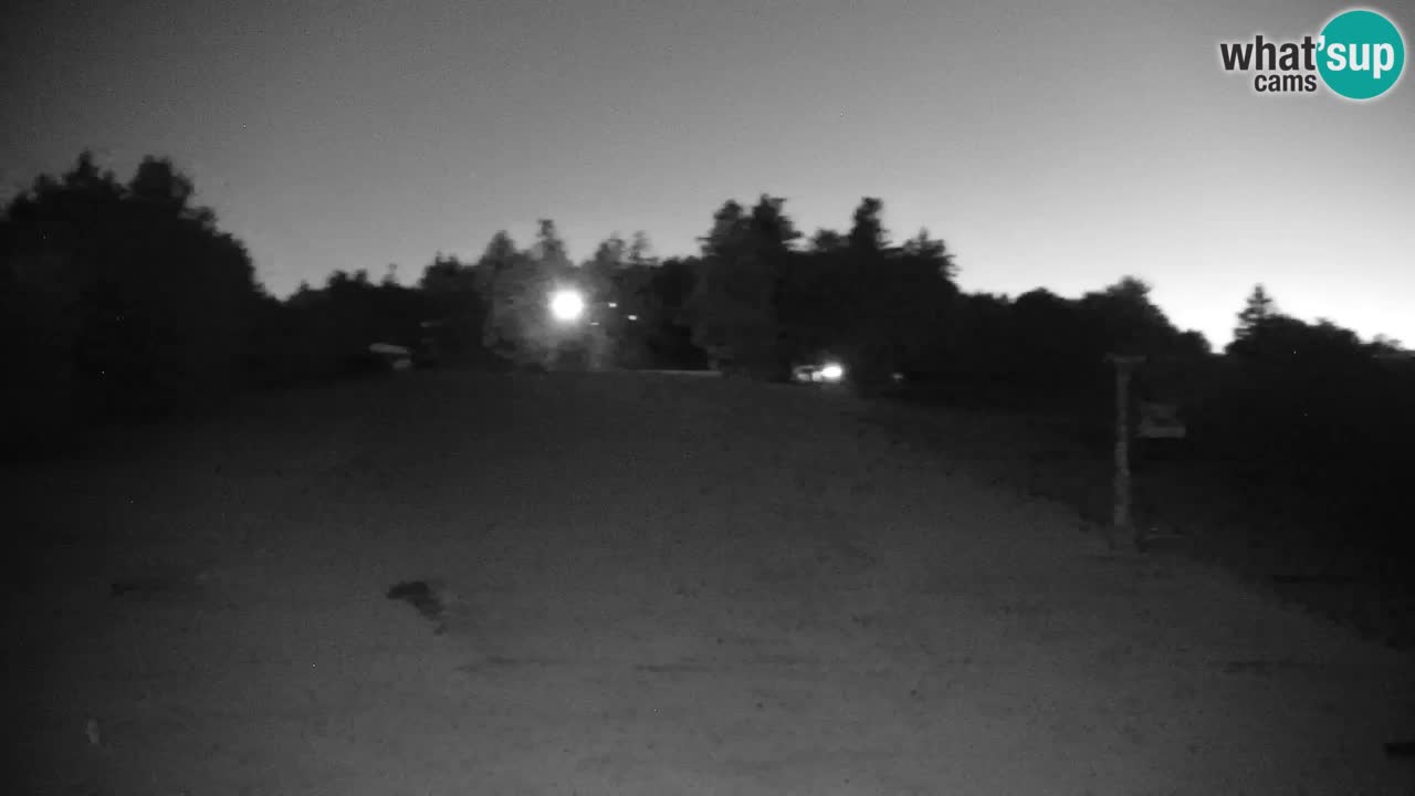 Pohorje spletna kamera | Spodnja postaja Sleme