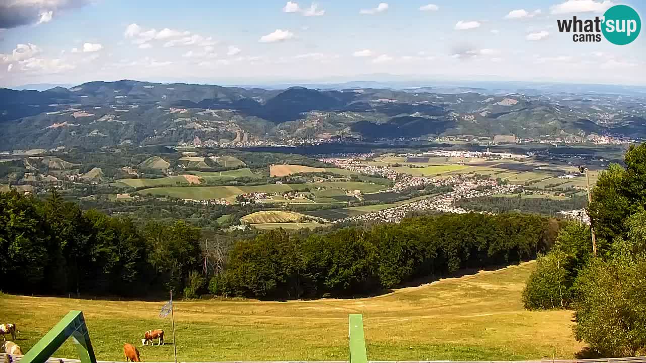 Pohorje Webcam | Sleme Talstation