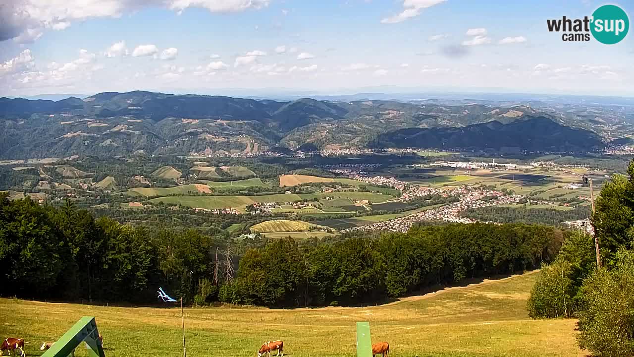 Pohorje Webcam | Sleme Talstation