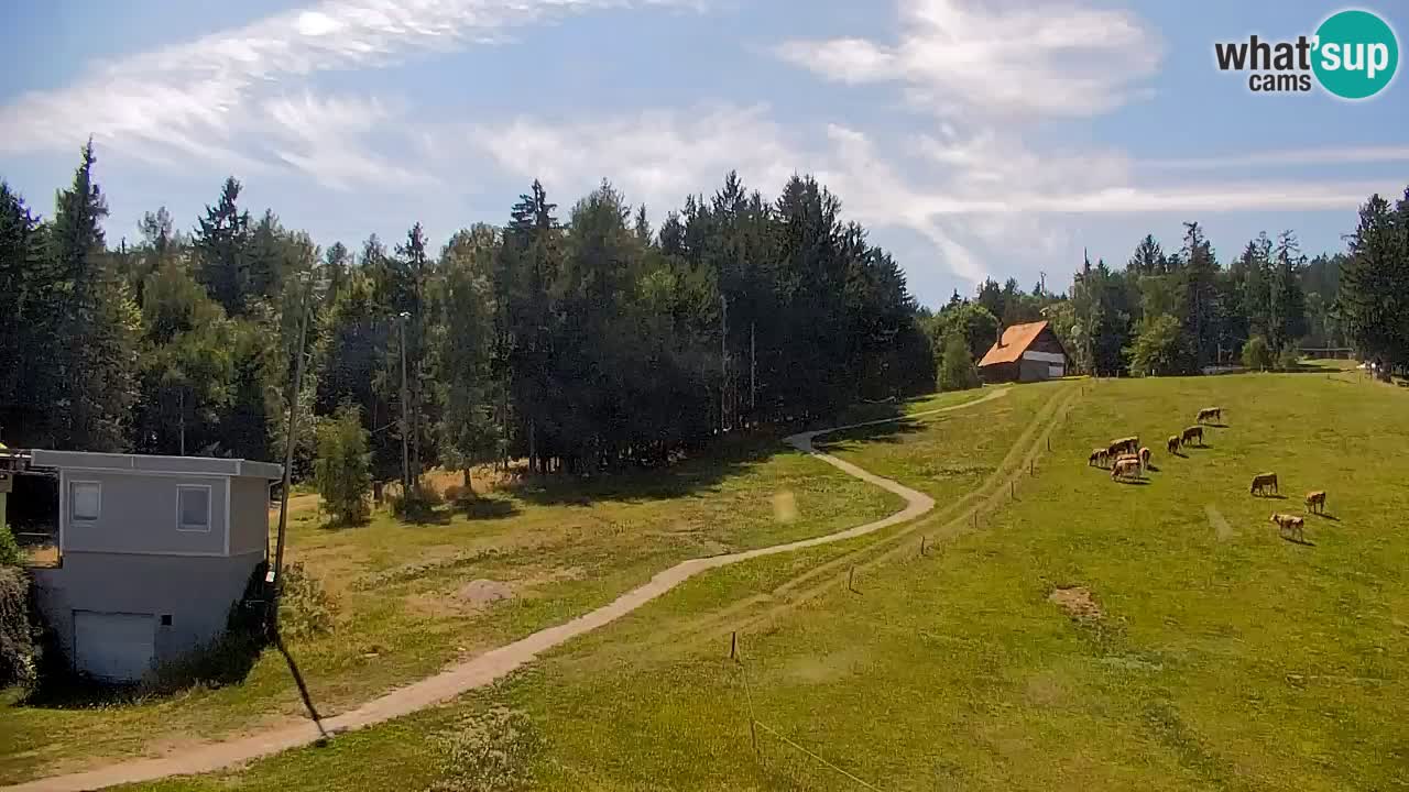 Webcam Pohorje | Estación Inferior de Sleme