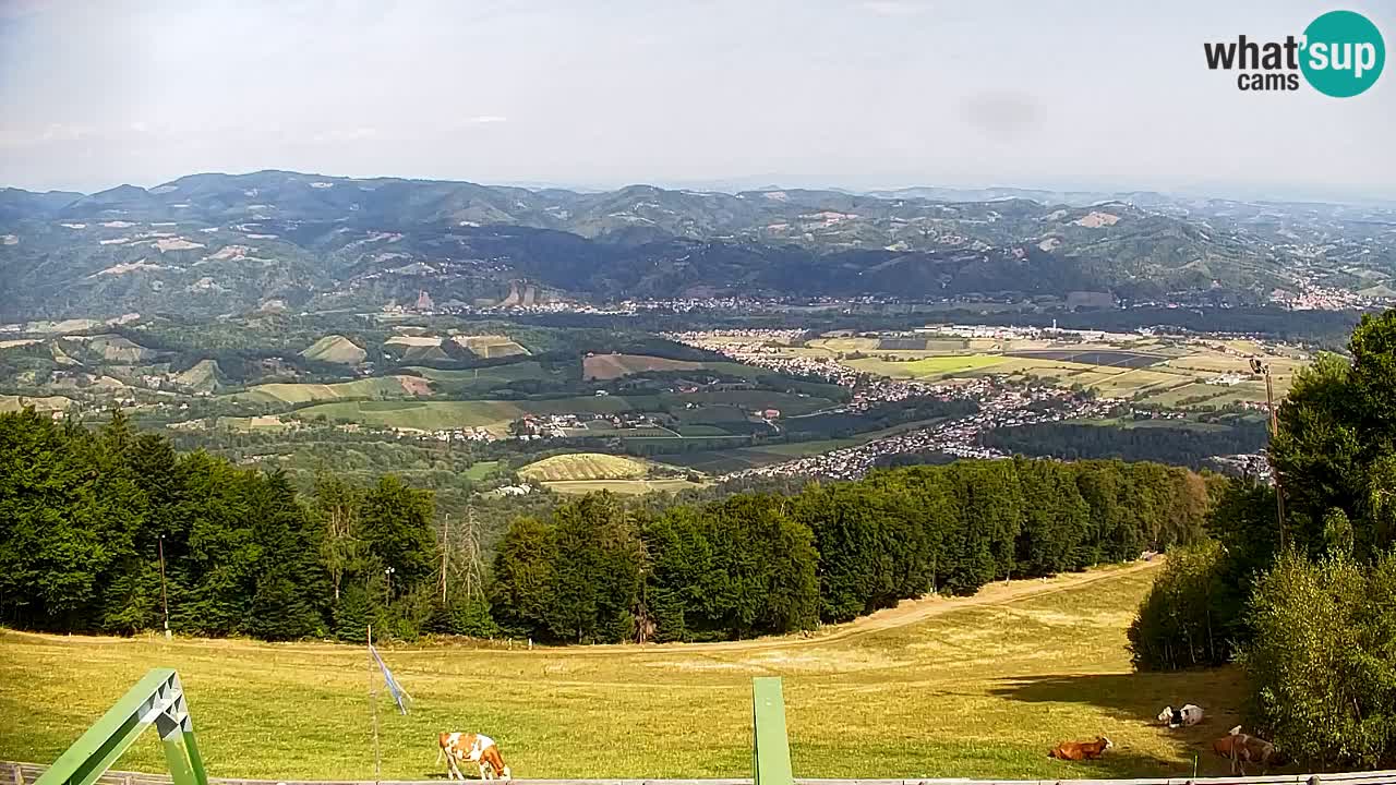 Pohorje spletna kamera | Spodnja postaja Sleme