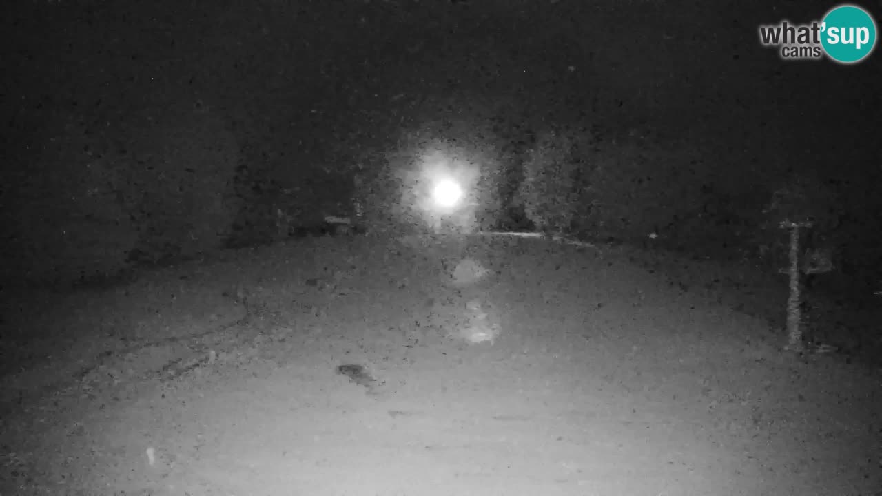 Pohorje Web kamera | Sleme Donja Stanica