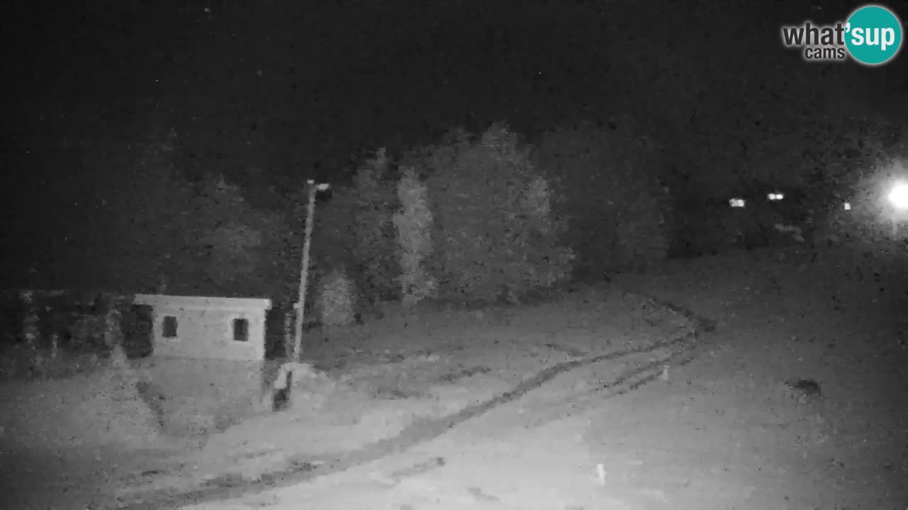 Webcam Pohorje | Station Sleme