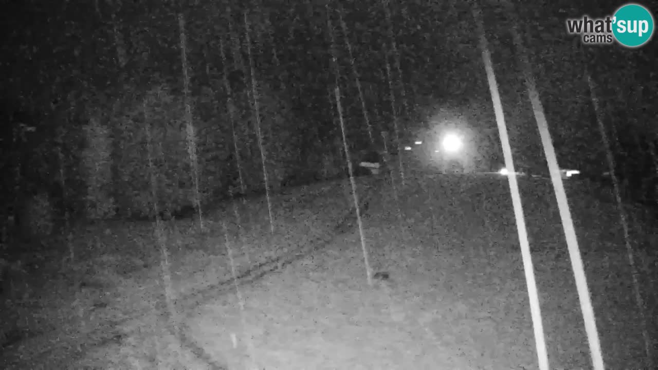Webcam Pohorje | Station Sleme