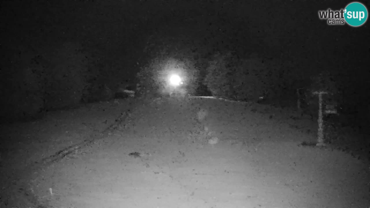 Pohorje Webcam | Sleme Talstation