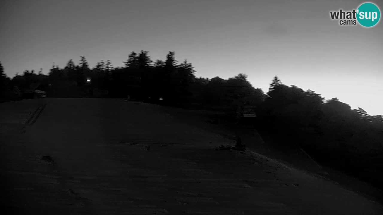 Pohorje webcam | Sleme lower station