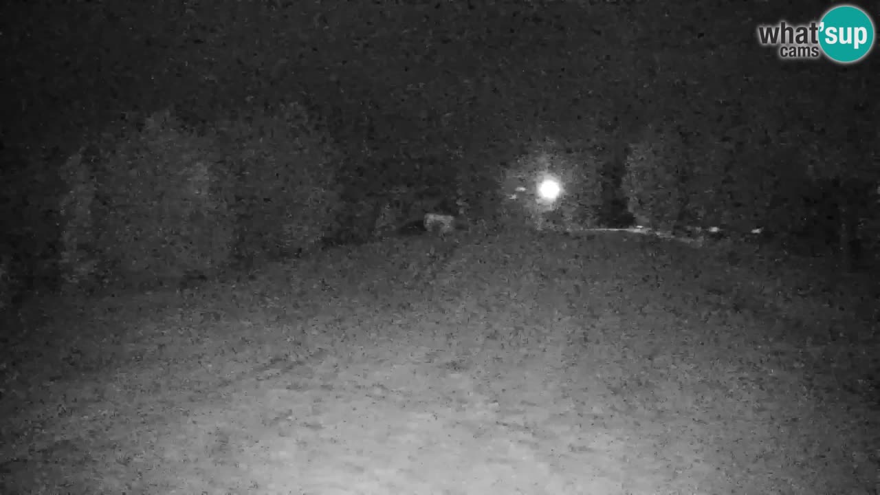 Pohorje webcam | Sleme lower station